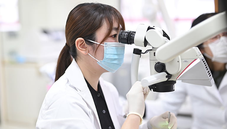 患者の歯の状態を確認する歯科医師